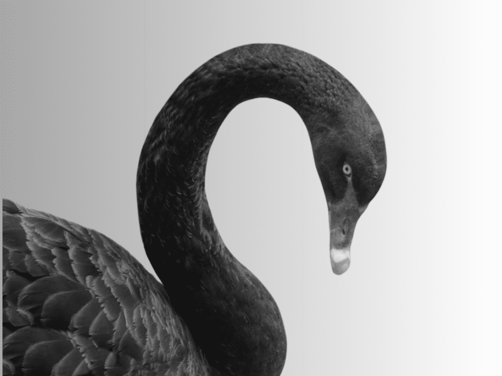 catastrophizing