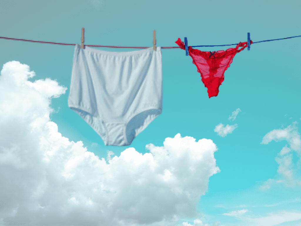 Granny Panties and thong on a clothesline
