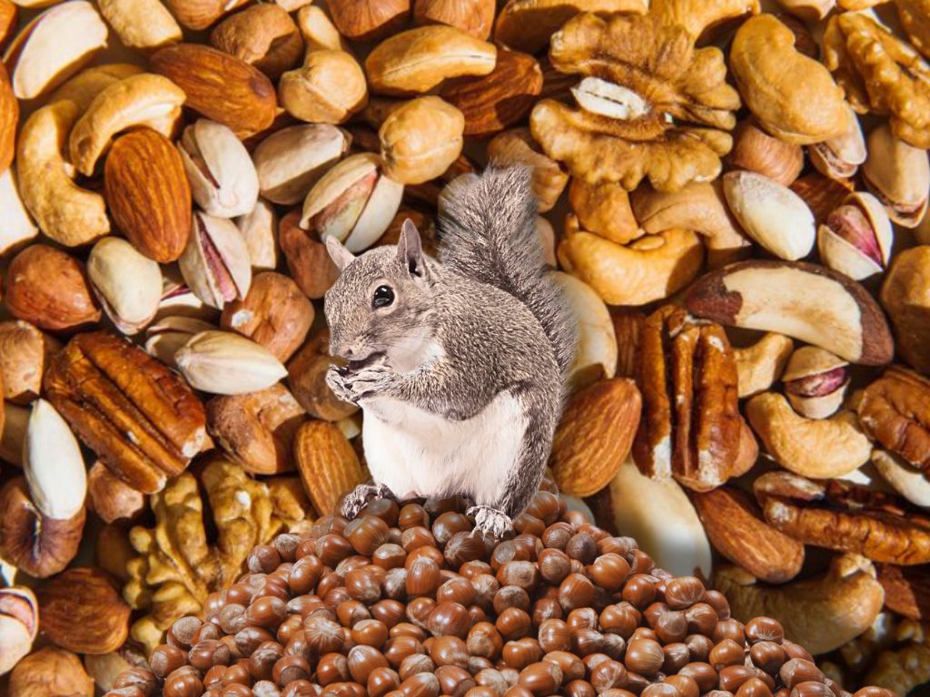 I’m A Dietitian Who Ate Nuts Every Day for a Month. Here’s What Really Happened.