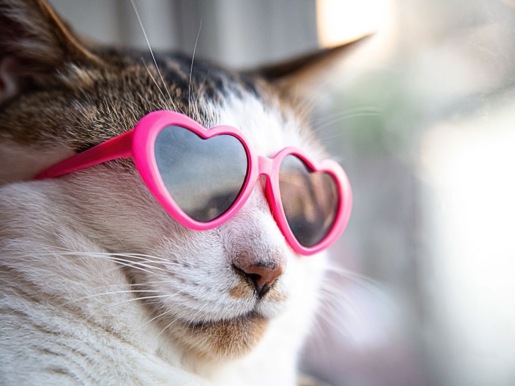 Middle-aged Women: Myths, Truth, and the Eye Roll You Deserve